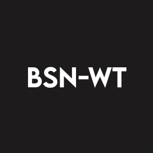 Stock BSN-WT logo