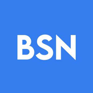 Stock BSN logo