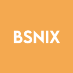 BSNIX Stock Logo
