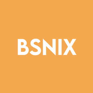 Stock BSNIX logo