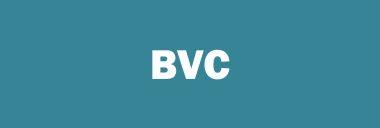 Stock BVC logo