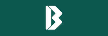 Stock BVN logo