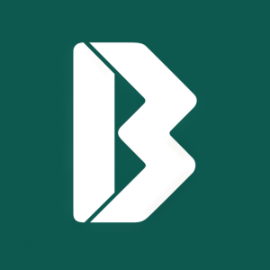 Stock BVN logo