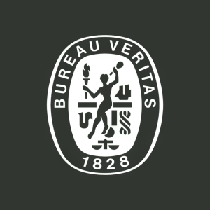 Stock BVRDF logo