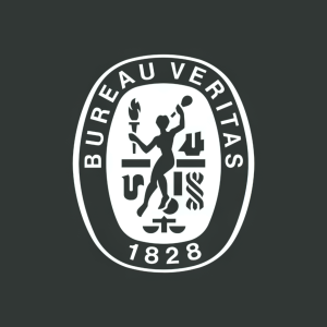 Stock BVVBY logo