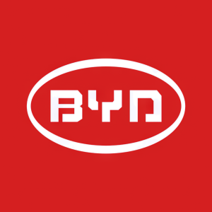 Stock BYDDY logo