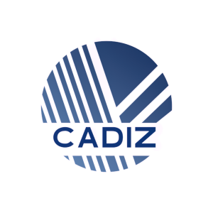 Stock CDZI logo