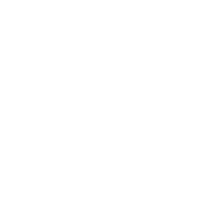 Stock CETY logo