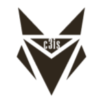 CISS Stock Logo