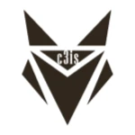 C3is