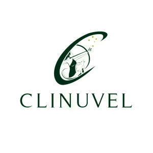 Stock CLVLY logo