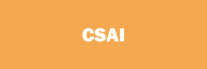 Stock CSAI logo