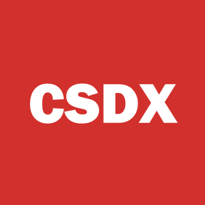 Stock CSDX logo