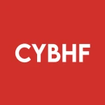 Cybercatch Global Inc