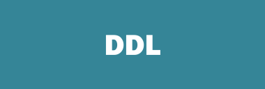 Stock DDL logo