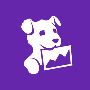 Datadog, Inc. (DDOG) CTO sells 53,912 shares and exercises equity awards