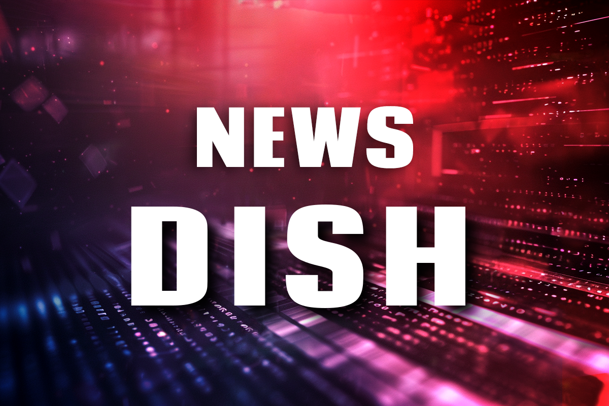 Dish Logo - logo cdr vector