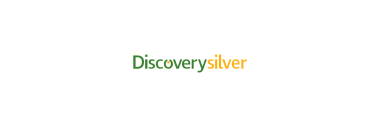 Stock DSVSF logo