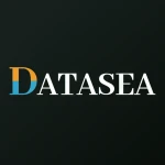 Datasea Intelligent Technology Ltd