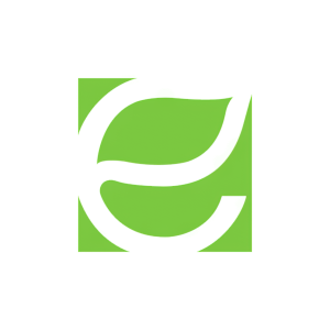 Stock EFOI logo