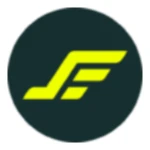 EVERFORTH INC logo