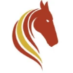 Pasofino Gold Limited
