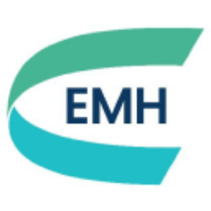 Stock EMHXY logo