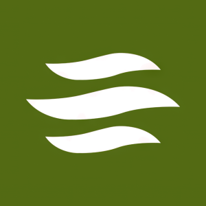 Stock ENSG logo