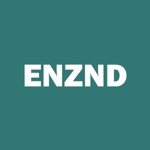 Stock ENZND logo