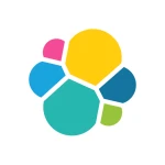 Elastic N.V. logo