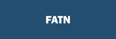 Stock FATN logo