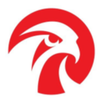 FBYD Stock Logo