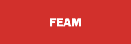 Stock FEAM logo