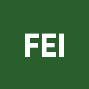Stock FEI logo