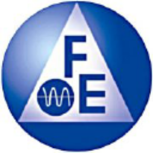 Stock FEIM logo