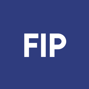 Stock FIP logo