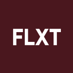 FLXT Stock Logo
