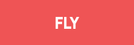 Stock FLY logo