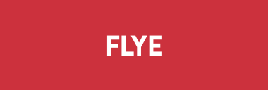 Stock FLYE logo
