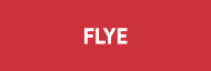 Stock FLYE logo