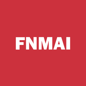 Stock FNMAI logo