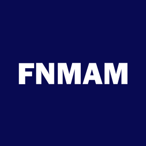 Stock FNMAM logo