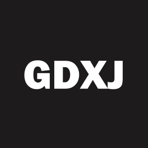 Stock GDXJ logo