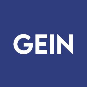 Stock GEIN logo
