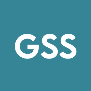 Stock GSS logo