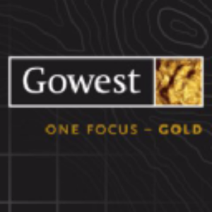 Stock GWSAF logo