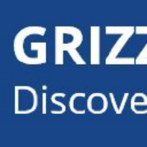 Stock GZDIF logo