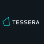 Tessera Defense and Homeland Security Inc. logo
