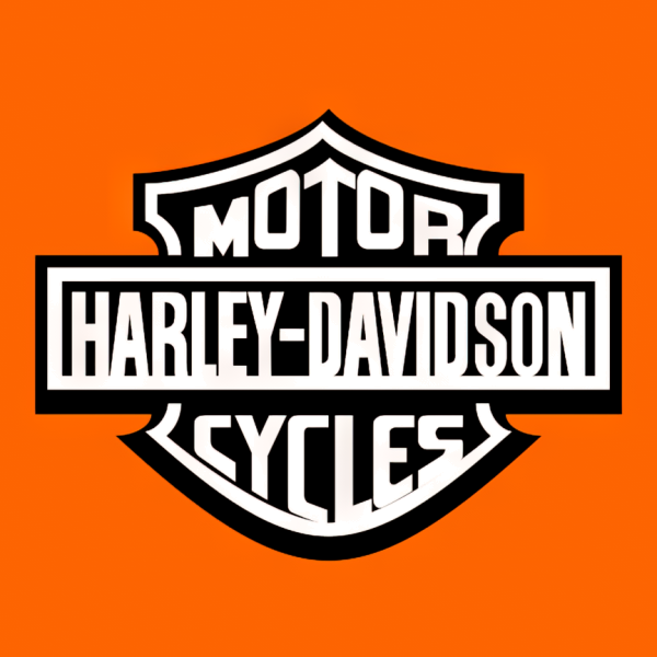 Harley-Davidson Delivers Second Quarter Financial Results | HOG Stock News