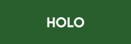 Stock HOLO logo